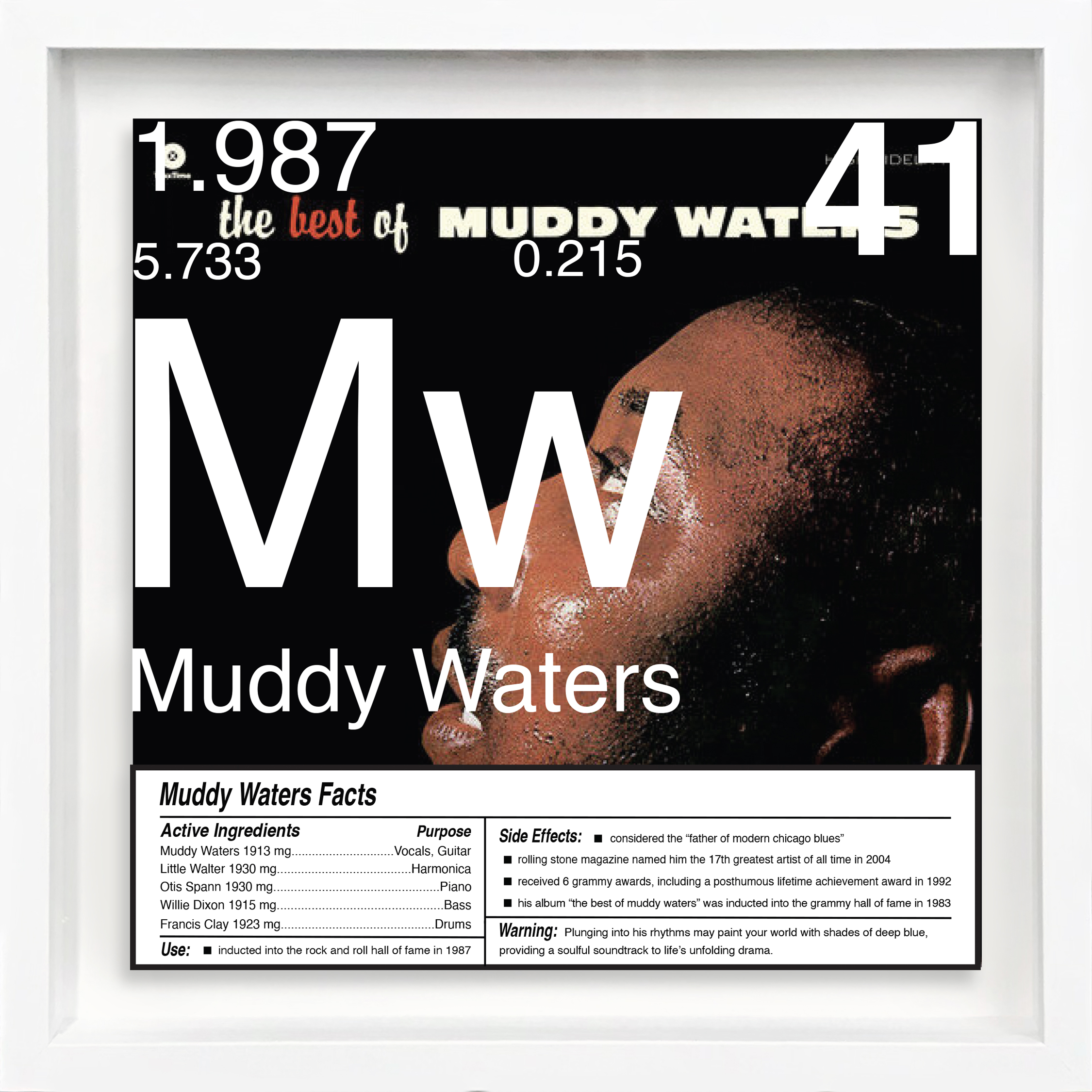 Muddy Waters artwork